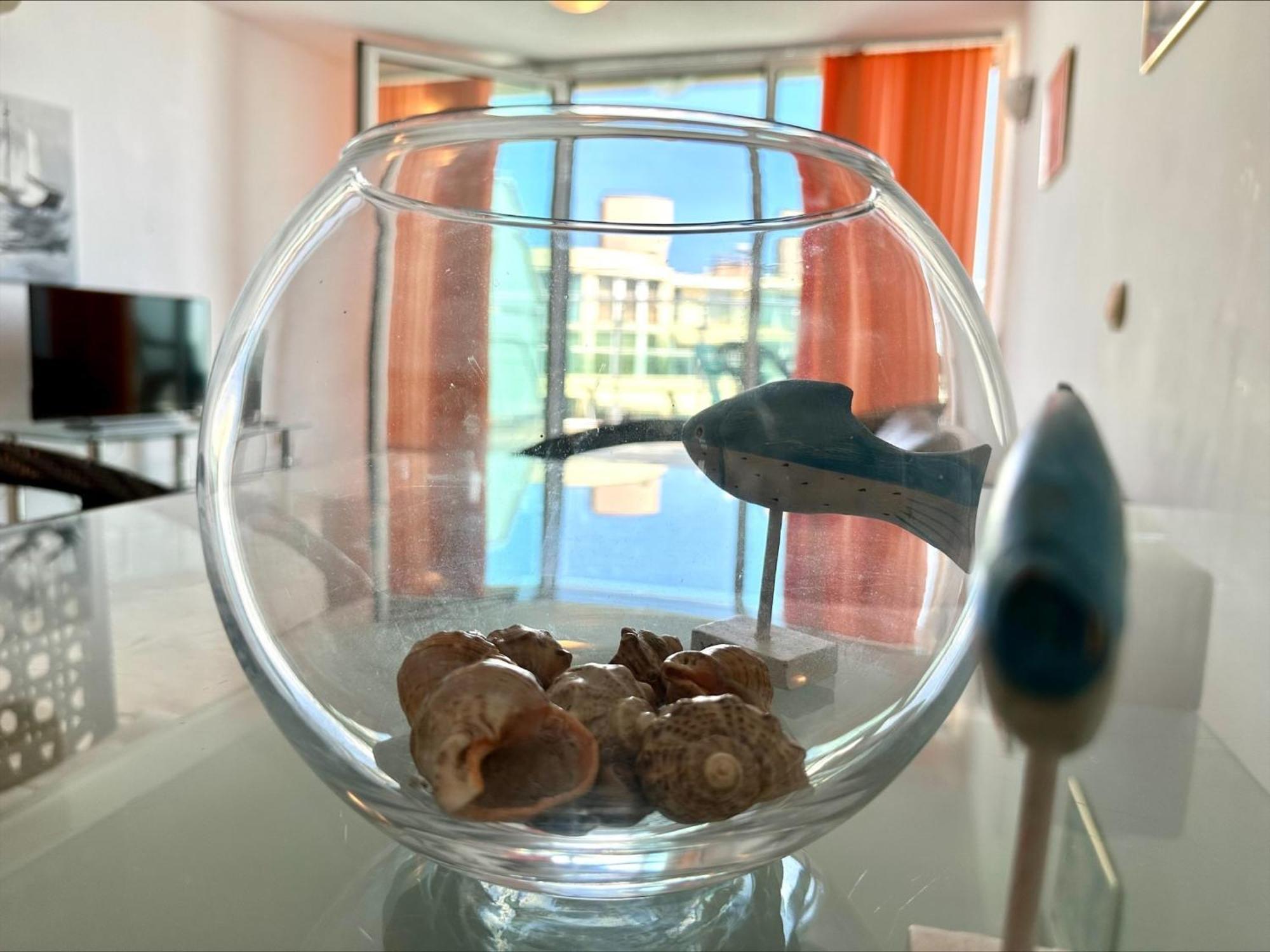 Julia Family - Menada Apartments Sunny Beach Ngoại thất bức ảnh